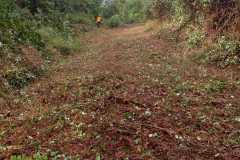 IMG-20191012-WA0005