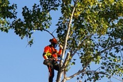 IMG-20191013-WA00000